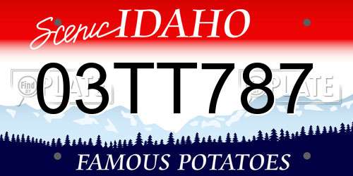 03TT787 Idaho License Plate