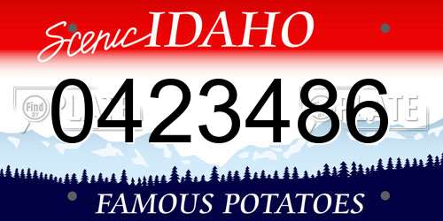 0423486 Idaho License Plate