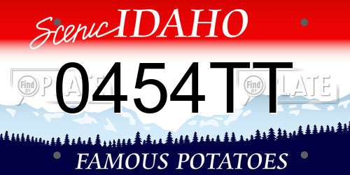 0454TT Idaho License Plate