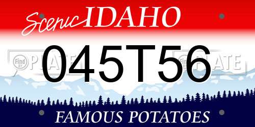 045T56 Idaho License Plate