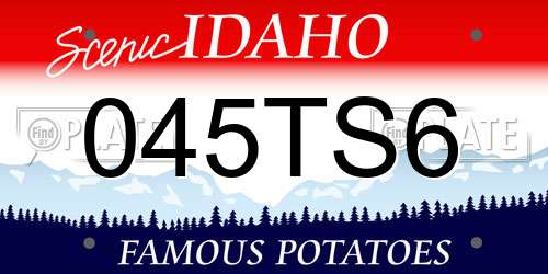 045TS6 Idaho License Plate