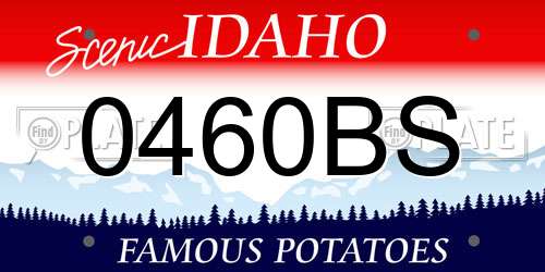 0460BS Idaho License Plate
