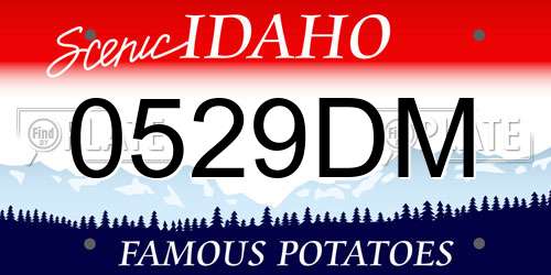 0529DM Idaho License Plate