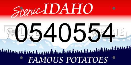 0540554 Idaho License Plate