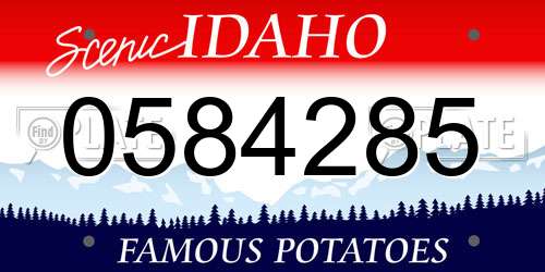 0584285 Idaho License Plate