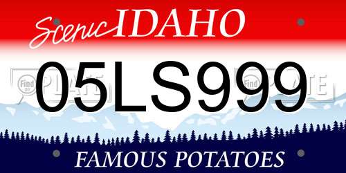 05LS999 Idaho License Plate