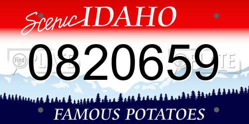 0820659 Idaho License Plate