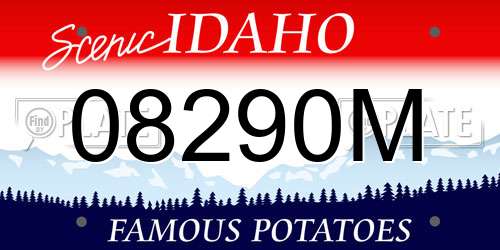 08290M Idaho License Plate
