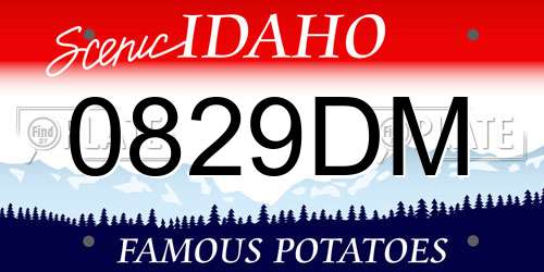 0829DM Idaho License Plate
