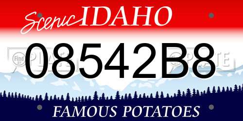 08542B8 Idaho License Plate