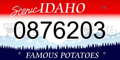 0876203 Idaho License Plate