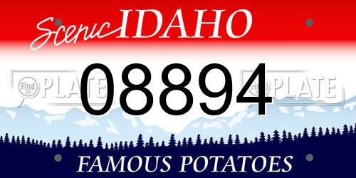 08894 Idaho License Plate
