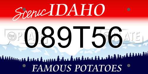 089T56 Idaho License Plate
