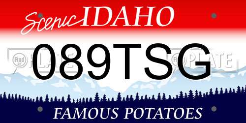 089TSG Idaho License Plate