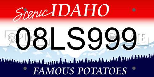 08LS999 Idaho License Plate