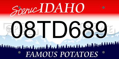 08TD689 Idaho License Plate
