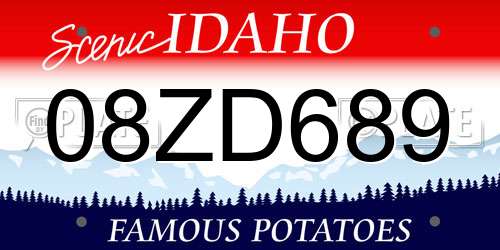 08ZD689 Idaho License Plate