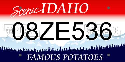 08ZE536 Idaho License Plate