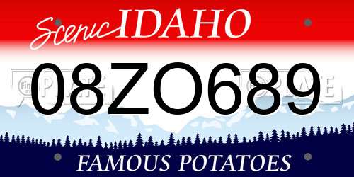 08ZO689 Idaho License Plate