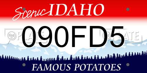 090FD5 Idaho License Plate