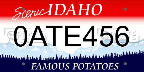 0ATE456 Idaho License Plate