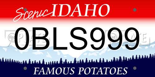 0BLS999 Idaho License Plate