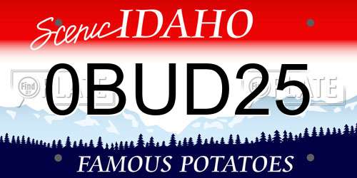 0BUD25 Idaho License Plate