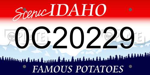 0C20229 Idaho License Plate