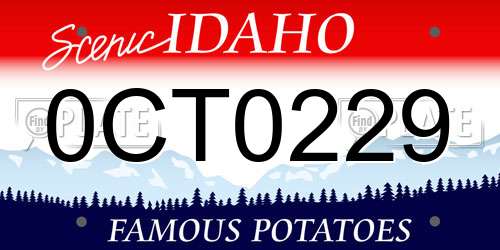 0CT0229 Idaho License Plate