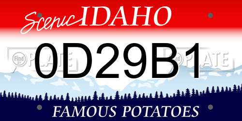 0D29B1 Idaho License Plate