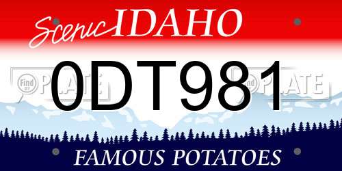0DT981 Idaho License Plate