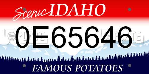 0E65646 Idaho License Plate