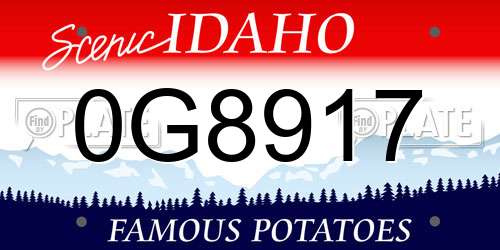 0G8917 Idaho License Plate