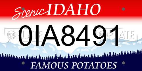 0IA8491 Idaho License Plate