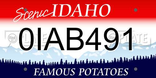 0IAB491 Idaho License Plate