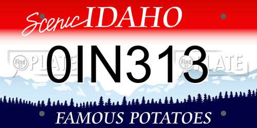0IN313 Idaho License Plate