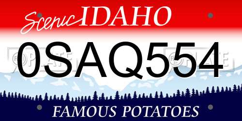 0SAQ554 Idaho License Plate