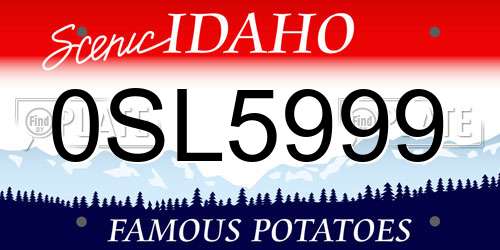 0SL5999 Idaho License Plate
