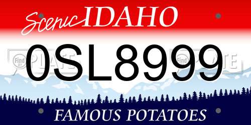 0SL8999 Idaho License Plate