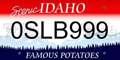 0SLB999 Idaho License Plate