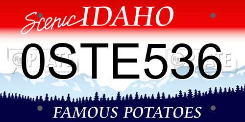 0STE536 Idaho License Plate