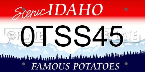0TSS45 Idaho License Plate