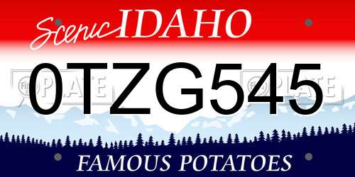 0TZG545 Idaho License Plate