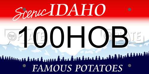 100HOB Idaho License Plate