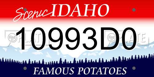 10993D0 Idaho License Plate