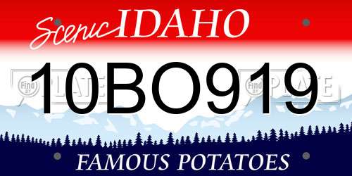 10BO919 Idaho License Plate
