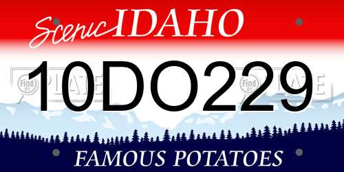 10DO229 Idaho License Plate