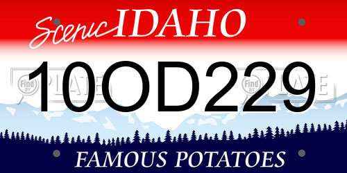 10OD229 Idaho License Plate