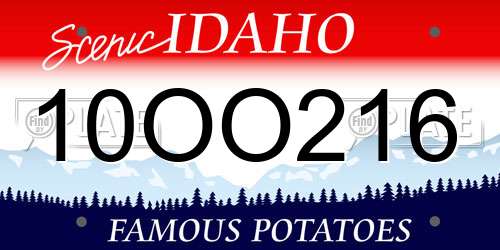 10OO216 Idaho License Plate