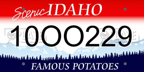 10OO229 Idaho License Plate